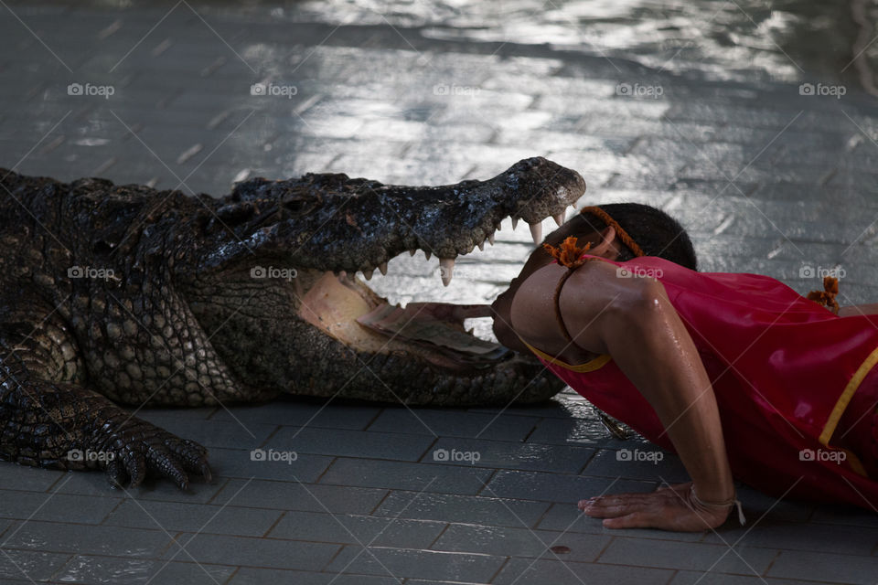 Portrait, One, People, Reptile, Woman