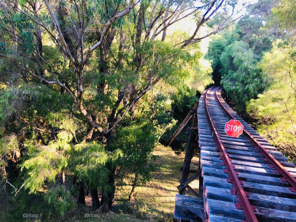 On a journey down south. 