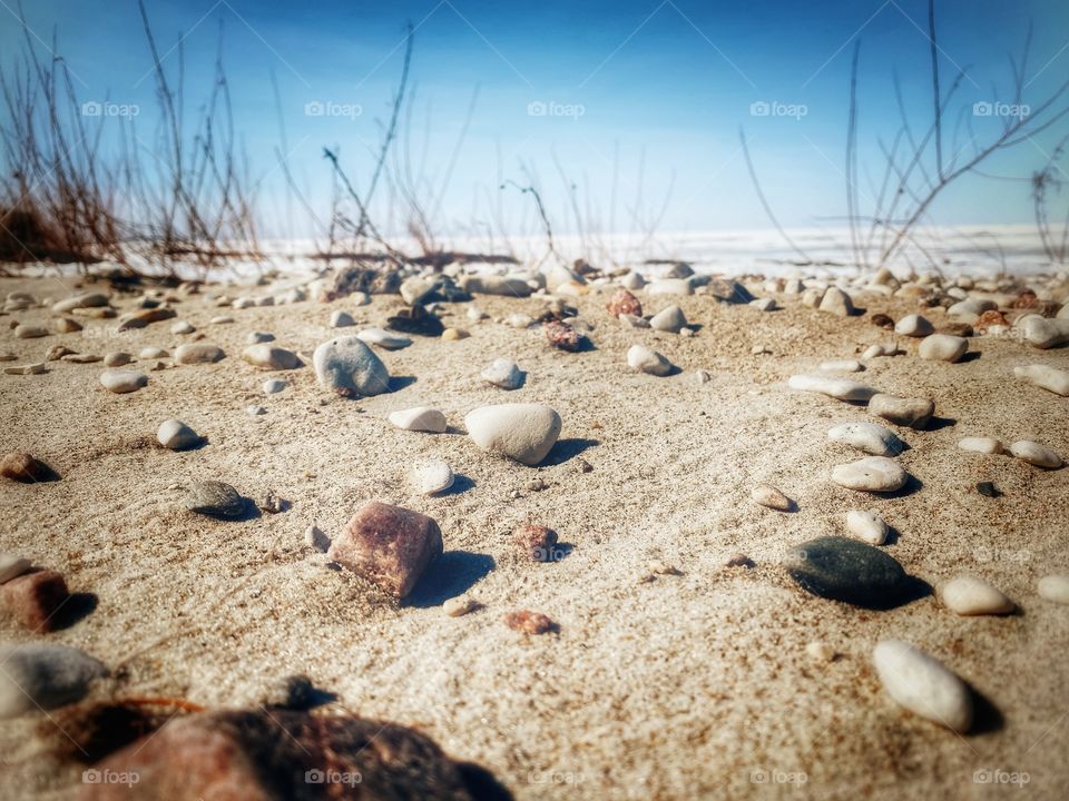 Springtime at the beach