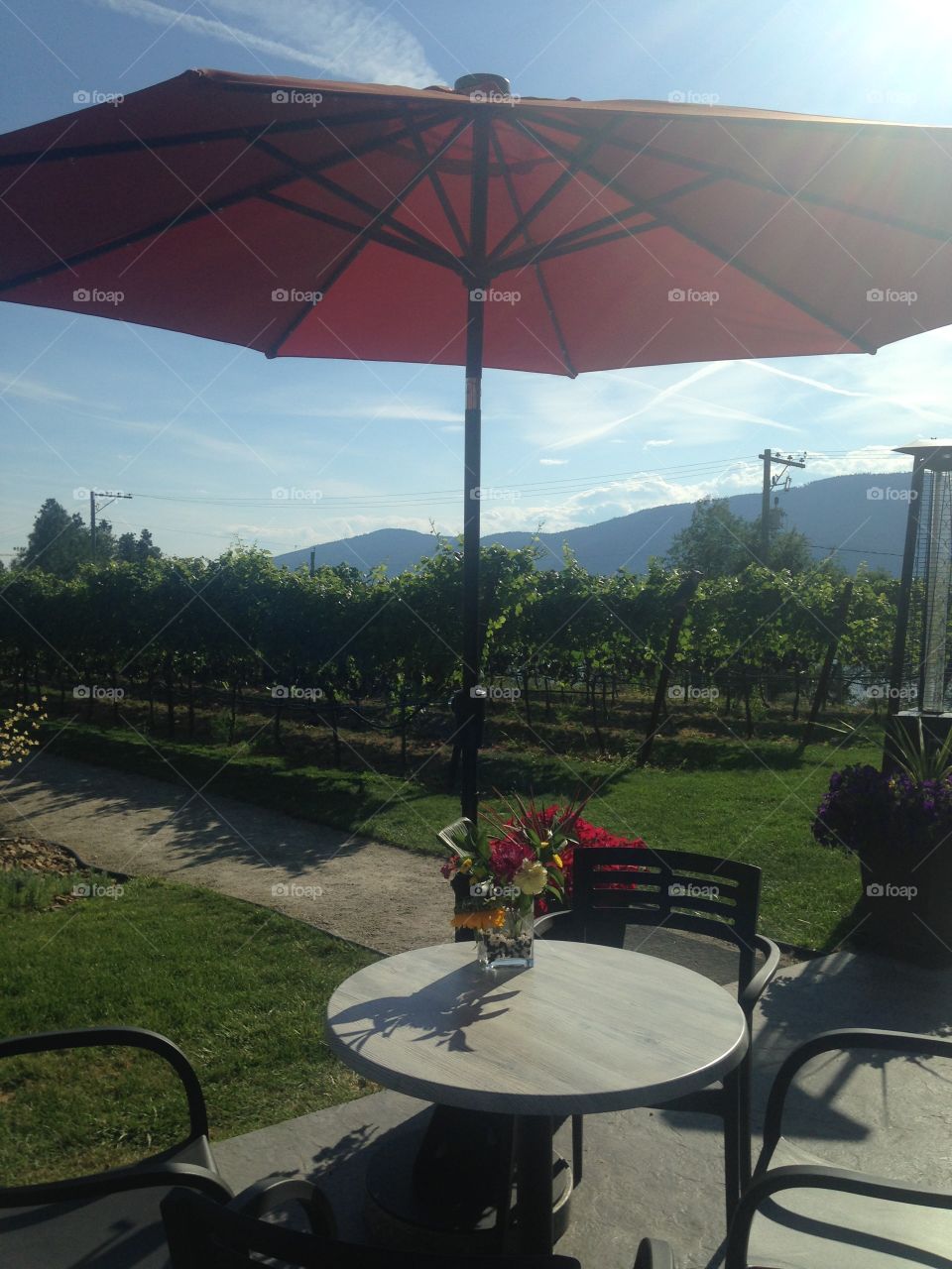 Patio with vineyard views