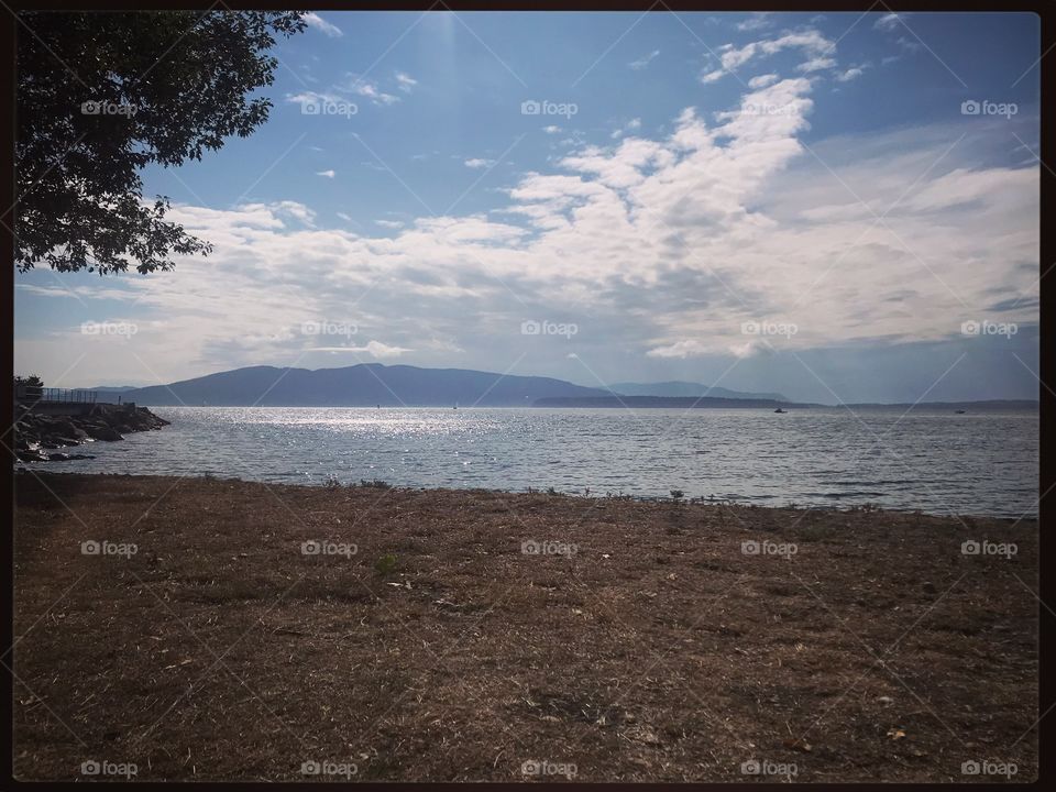 Bellingham Bay in August 2019 