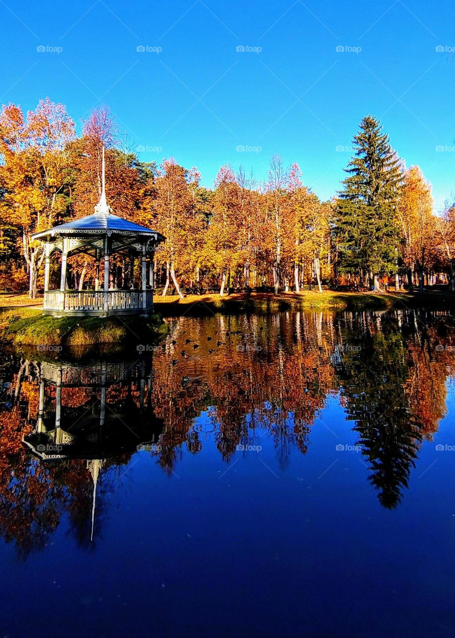 Gorgeous landscape 🍁🍂 Autumn season 🍁🍂 Reflection 🍁🍂