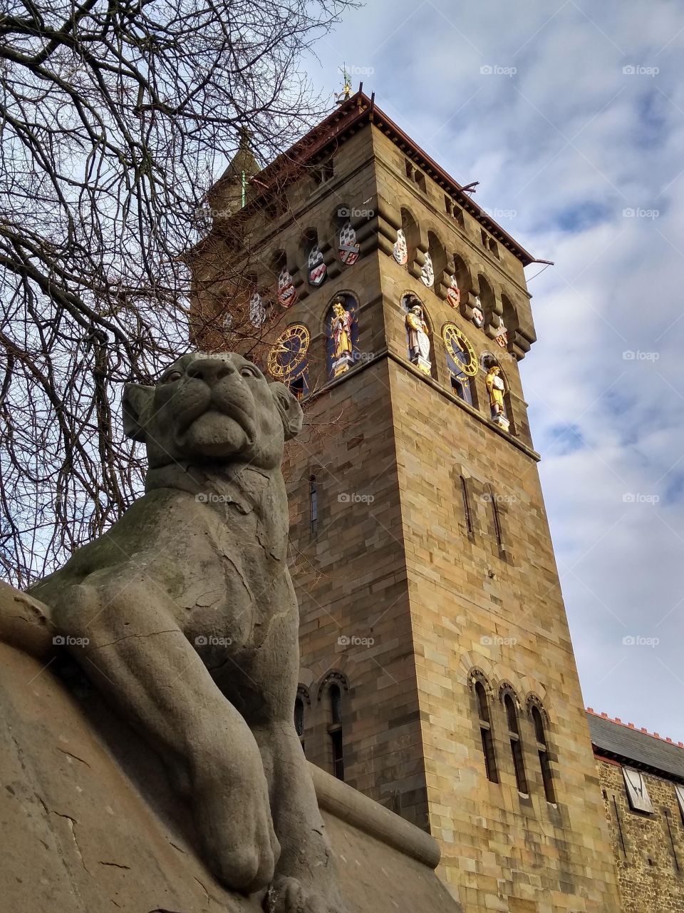 Lioness guarding the tower