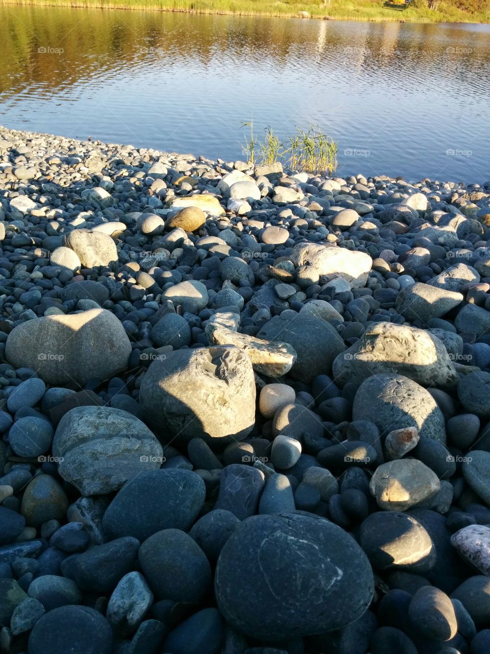 Rocks