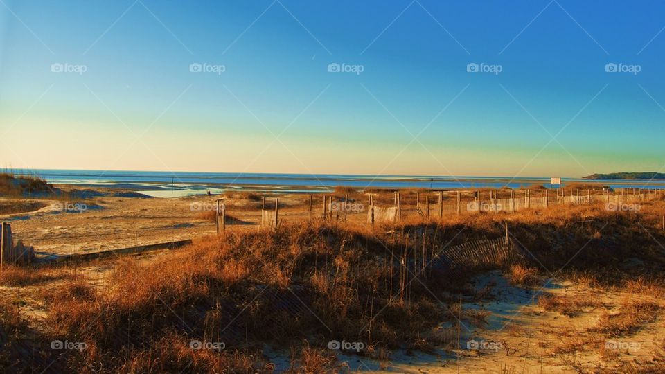 Scenic view of sea