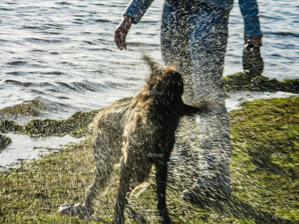 A blurry dog showers it’s owner with droplets of water after coming out of the lake it’s been swimming in