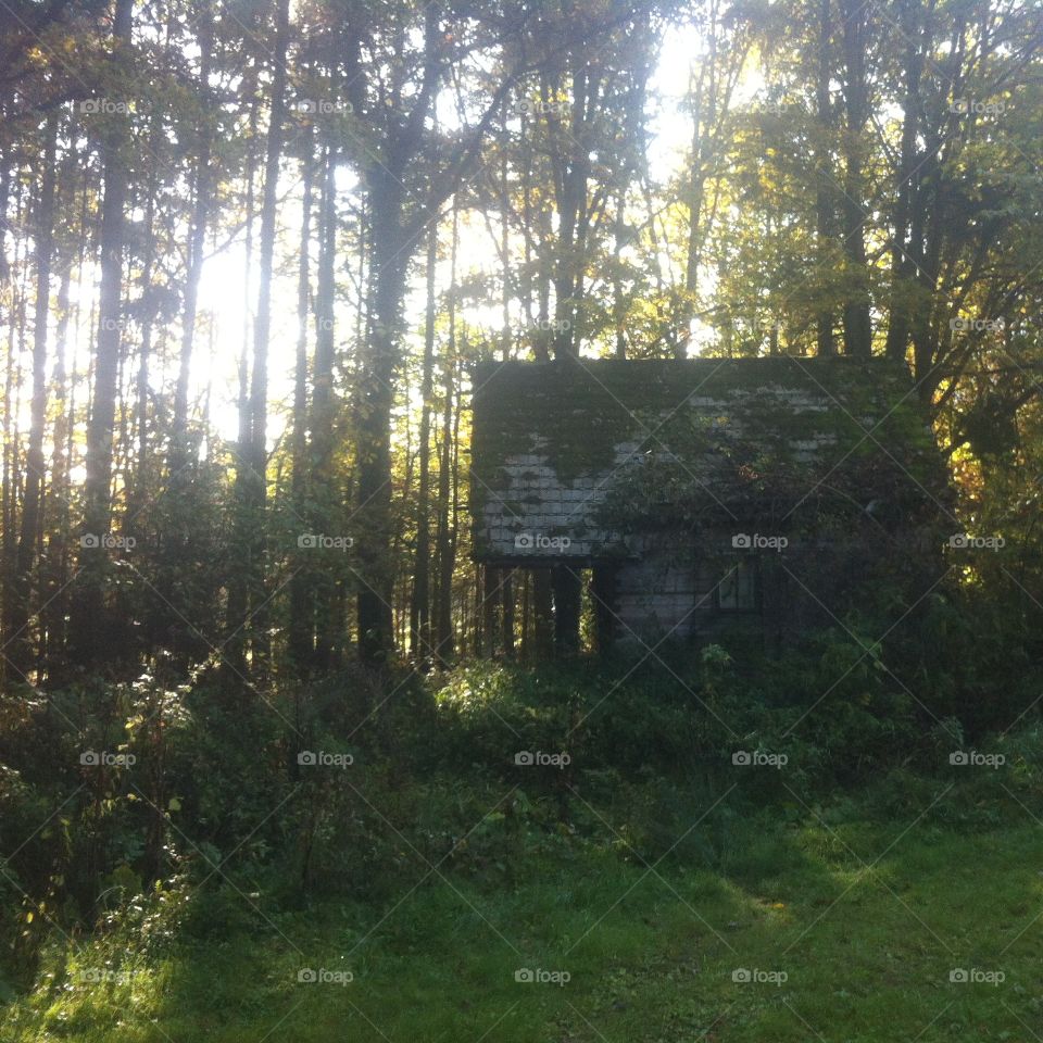 Abandoned shack ;)