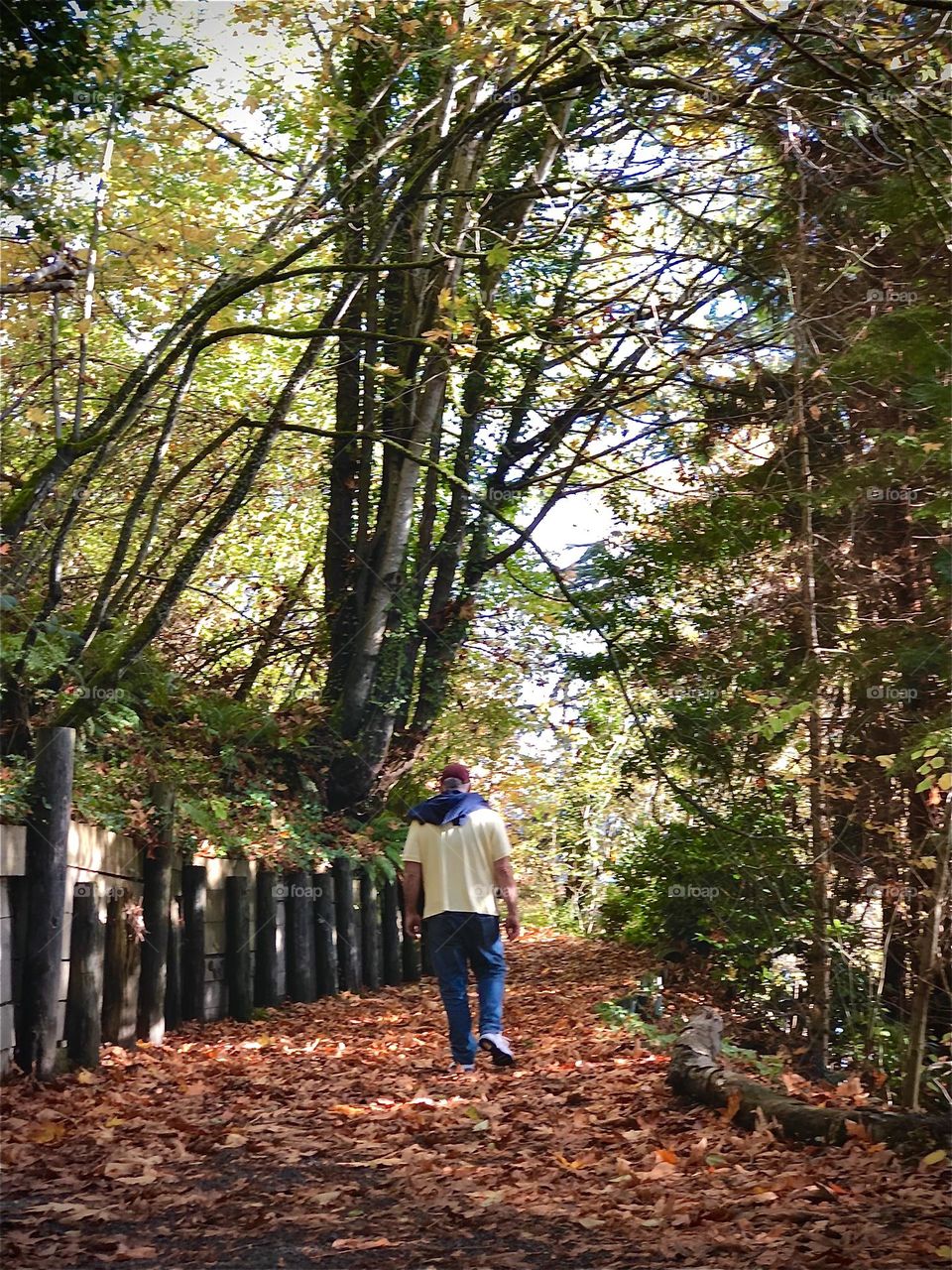 Foap Mission Be Authentic: Let’s go on a hike! Hiking in the fall on trails of the Pacific Northwest, Vashon Island🍁