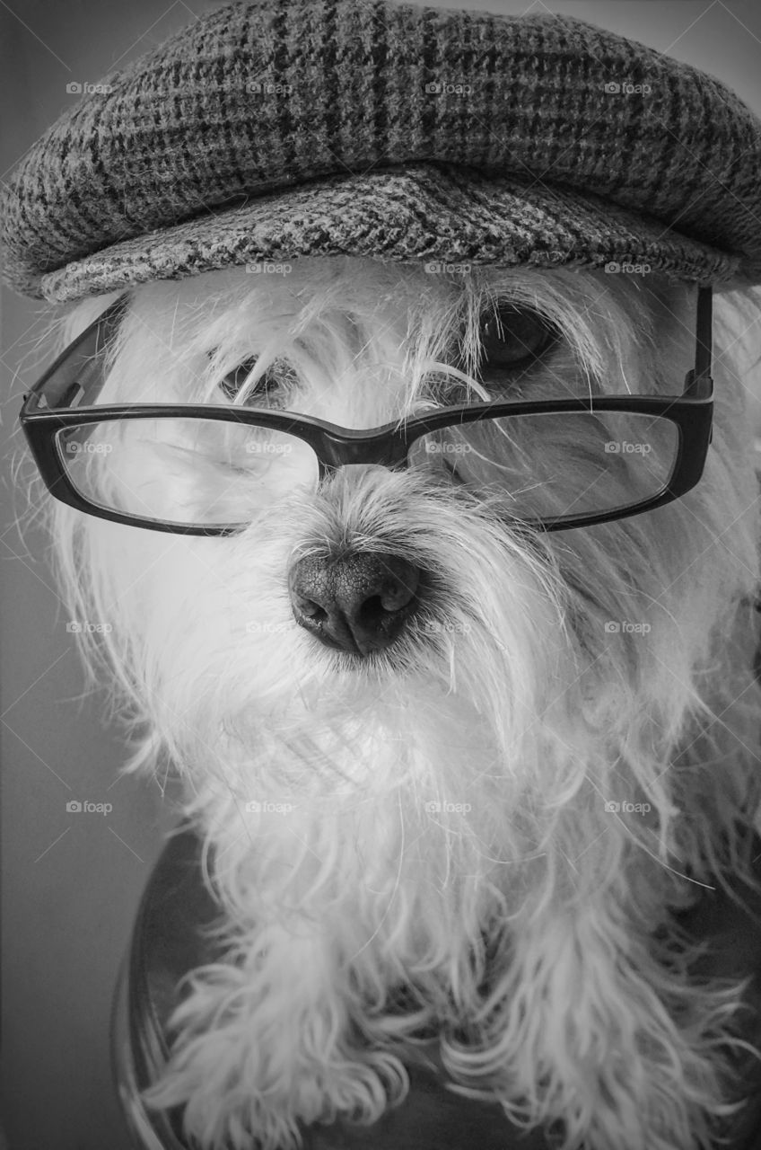 Cesar wearing a hat and eyeglasses looks like a grand pop. 