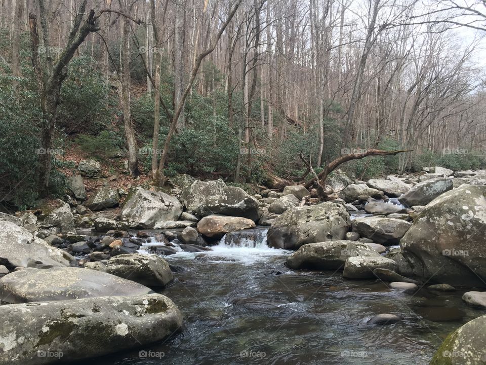 Tennessee Stream