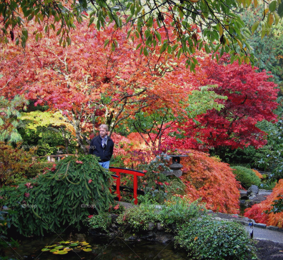 green colorful beautiful foliage by stevehardley7