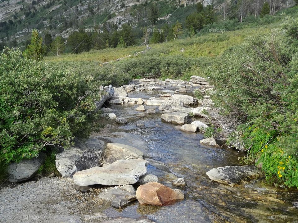 Lamoille Canyon Stream in the Ruby Mountains of Nevada