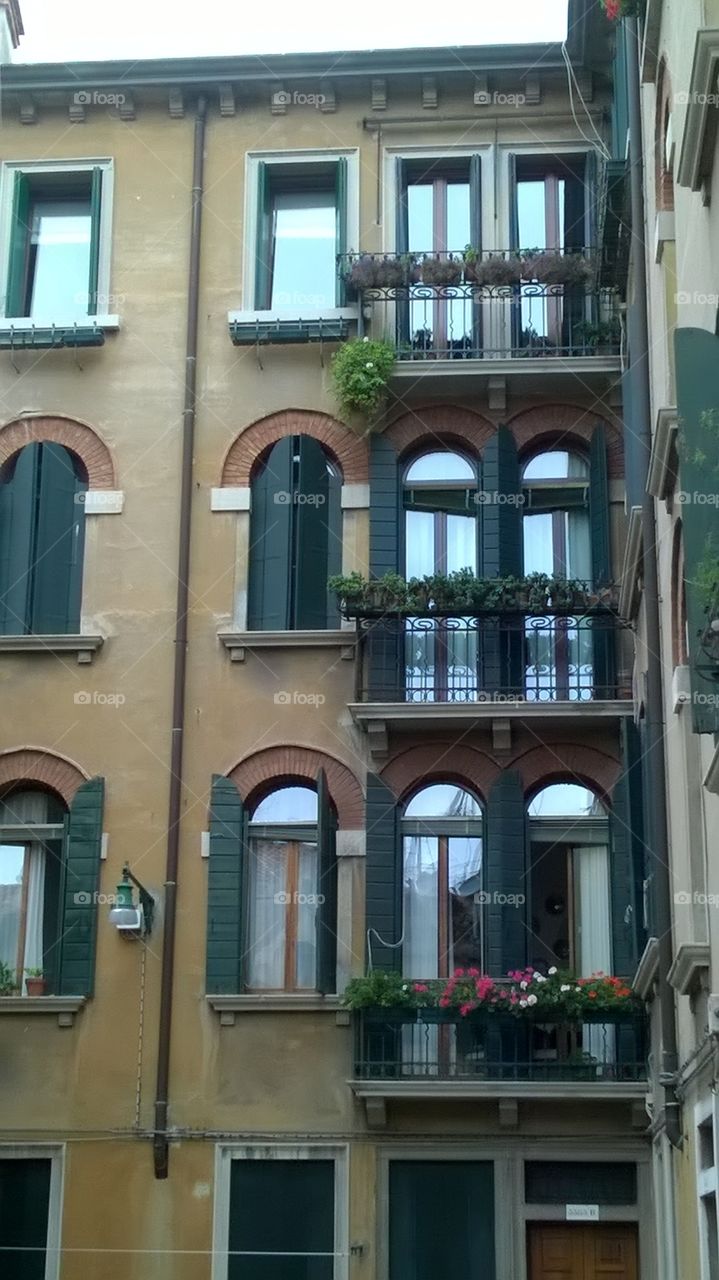 I love these French windows.