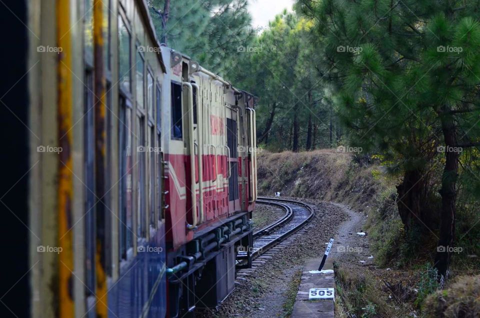 Toy Train (Simla, India)