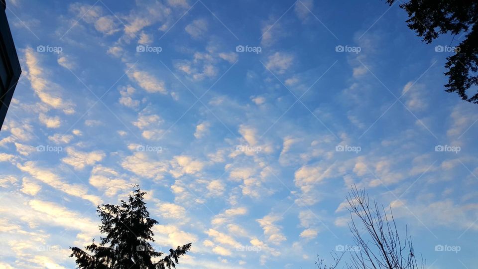 Oregon Clouds