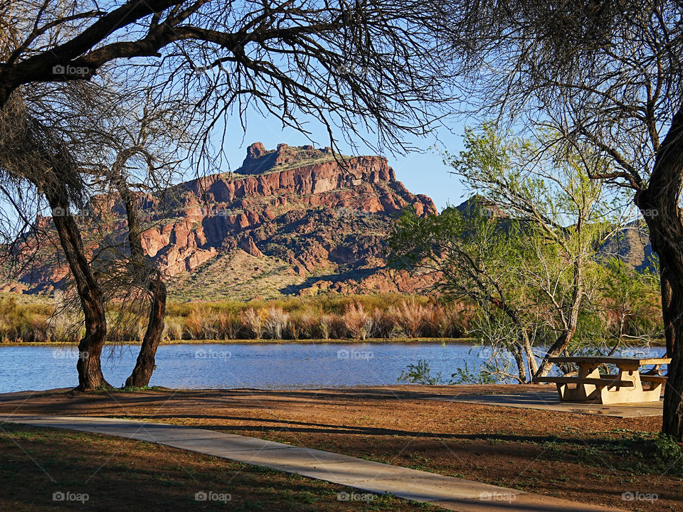 Red Mountain is framed by desert trees looking across the Salt River in Arizona