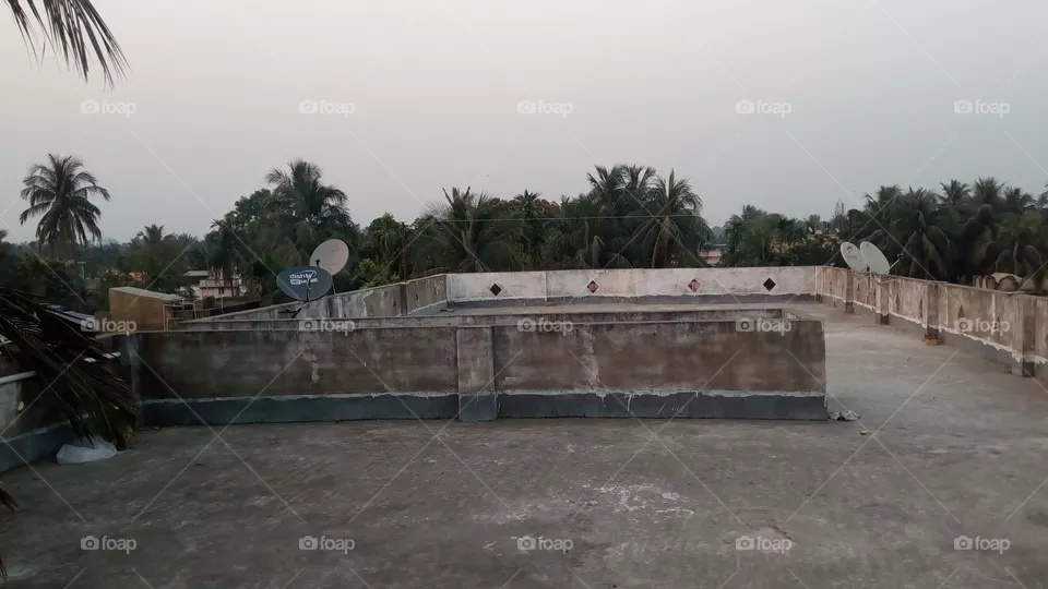roof