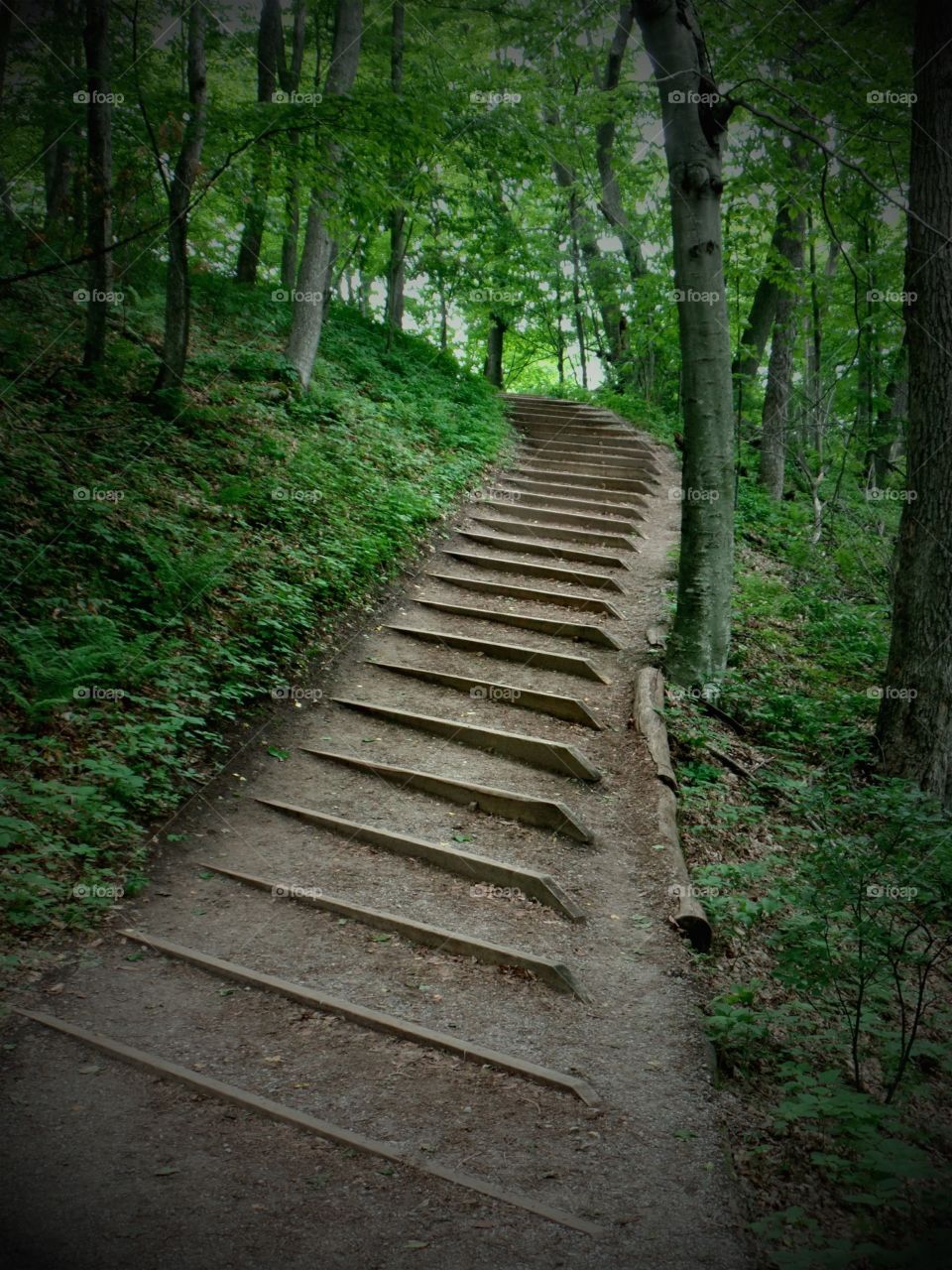 Empire Bluffs
Michigan 