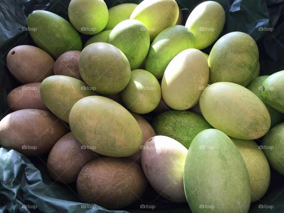 Easter eggs in all shades of green