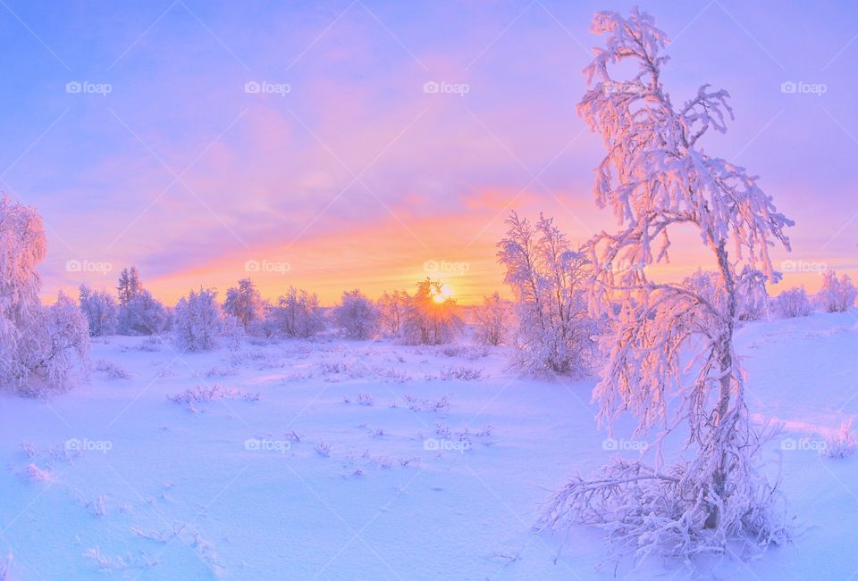 Winter, dawn, Arctic, morning, winter river, evening, winter silence, silence, frost, morning, predawn, red, traces of animals