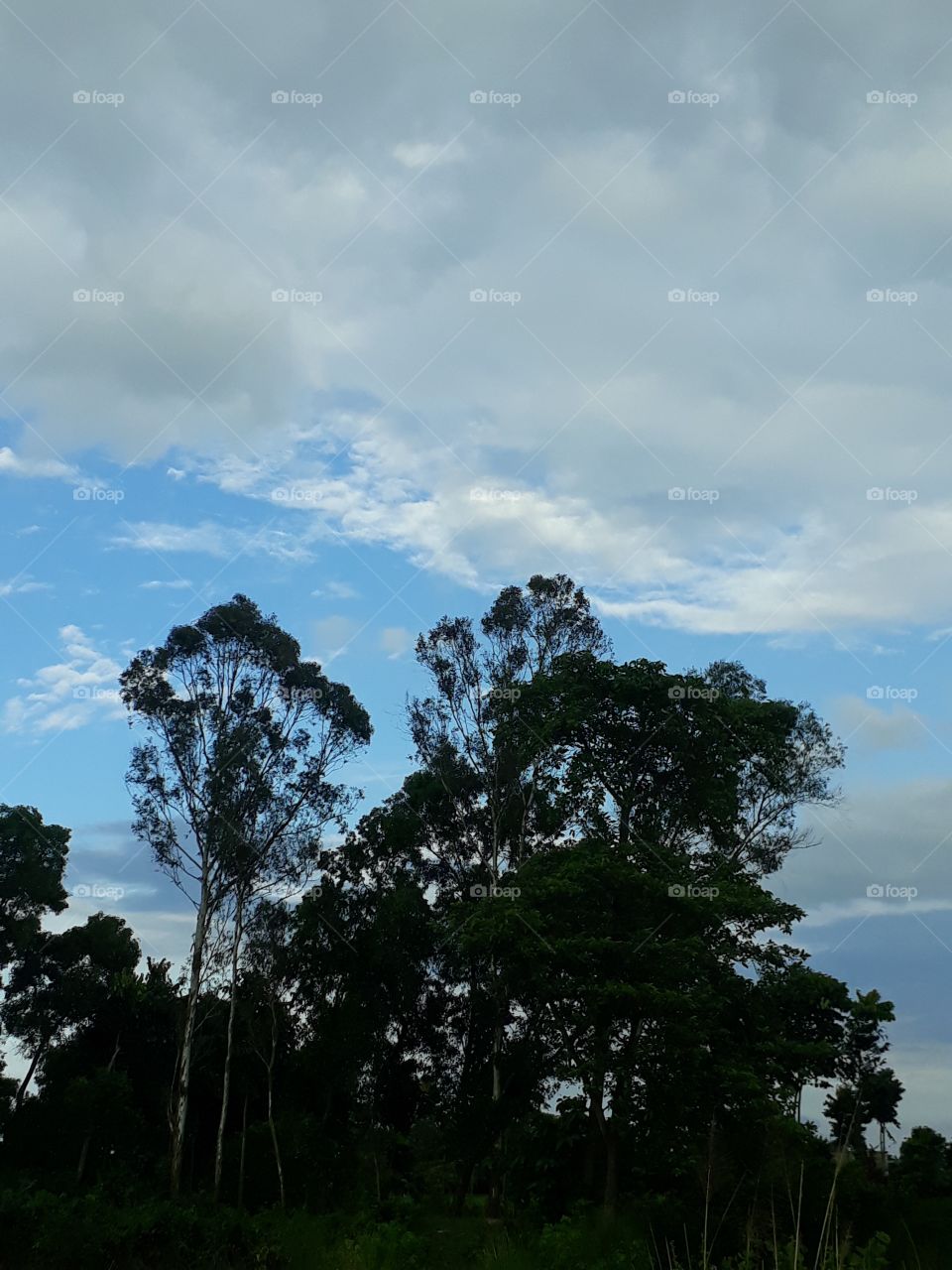 Beautiful sky and cloud in the sky