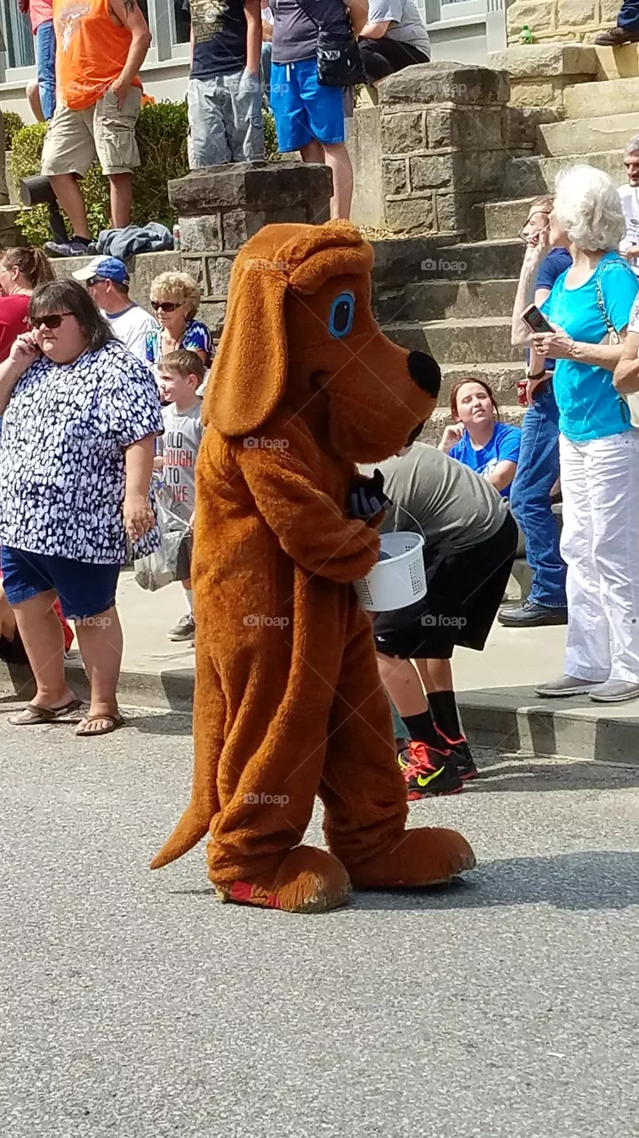 Bear