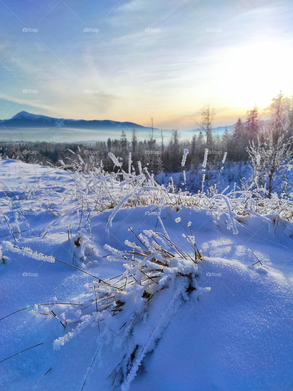 winter landscape in the mountains
