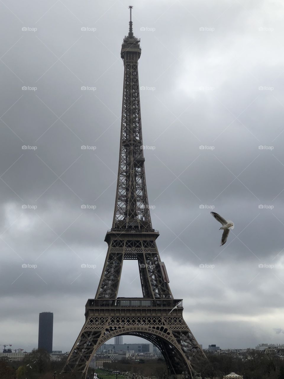 Eiffel Tower paris