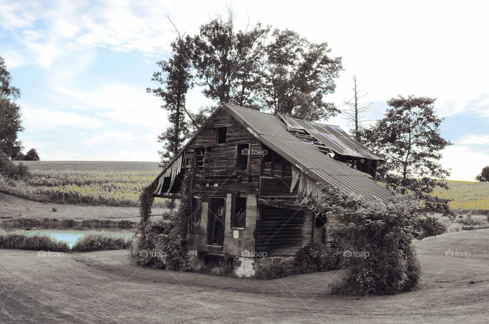 Take the Nostalgic Way Home (Series)