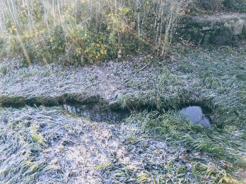 frosty stream bed