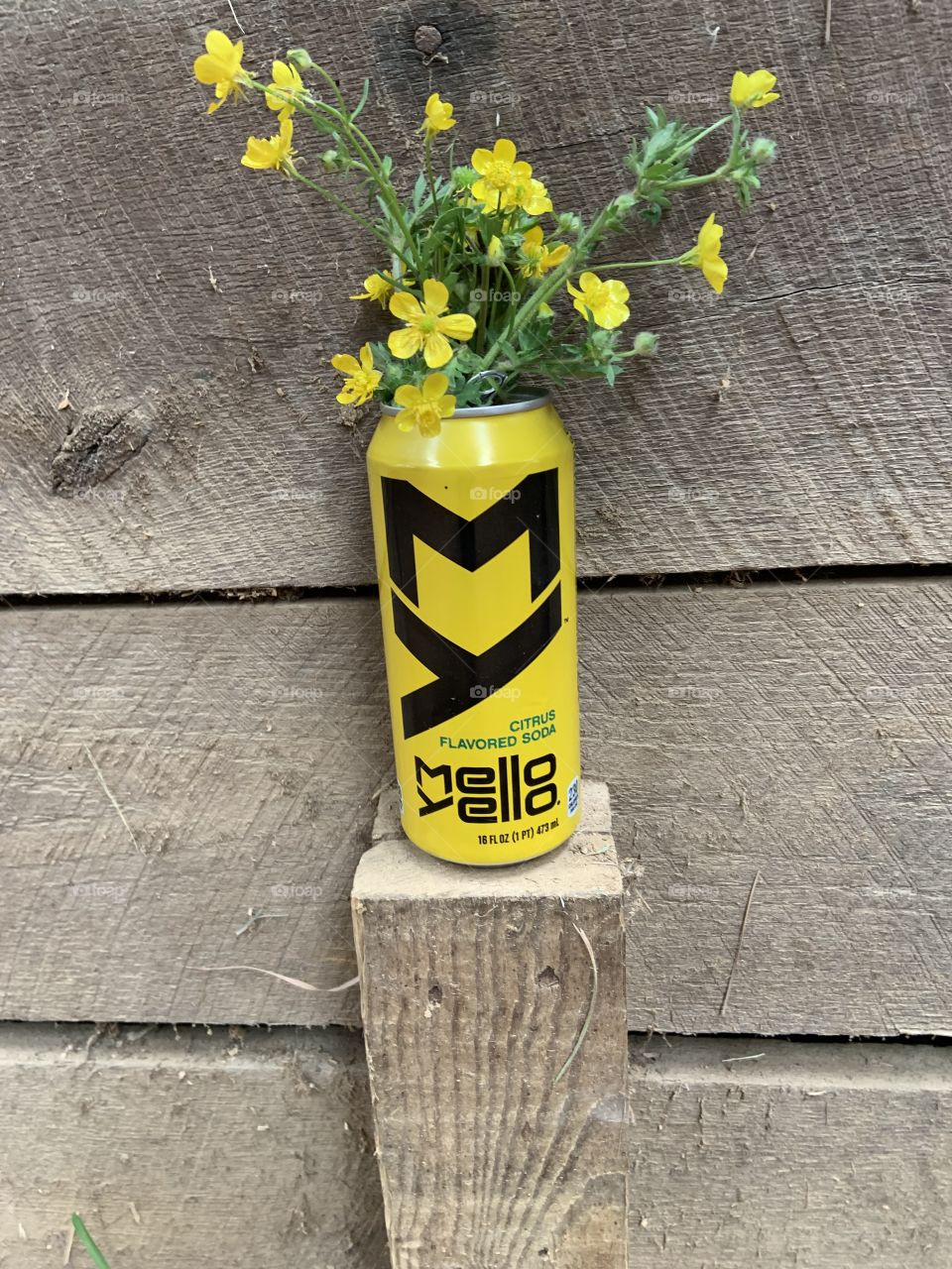 Flowers in a Mello Yello can in the barn isles.