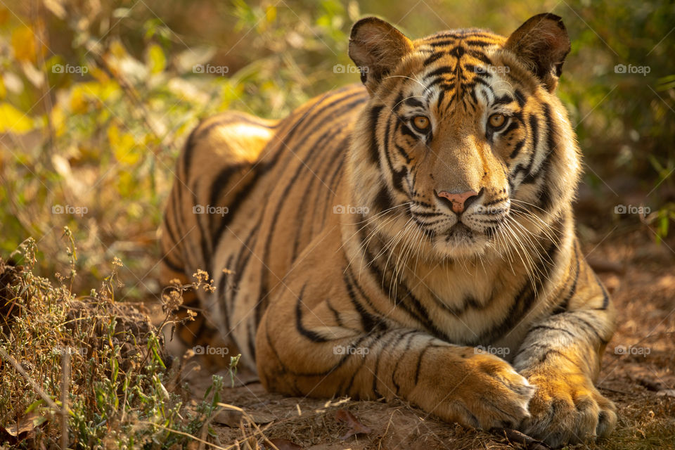 Stunningly Handsome boy! ❤️