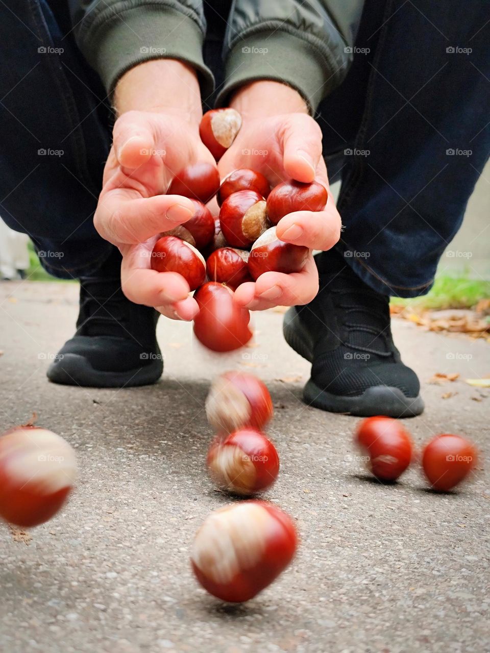 Scattering of chestnuts