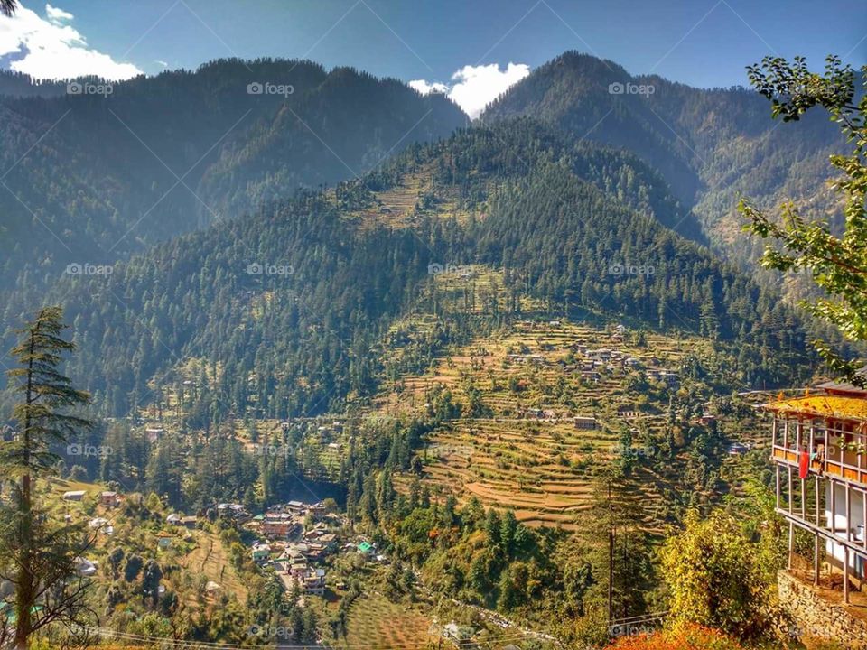 Beautiful area of kullu valley having sun rays, day time with trees and mountains, apple valley with houses.
