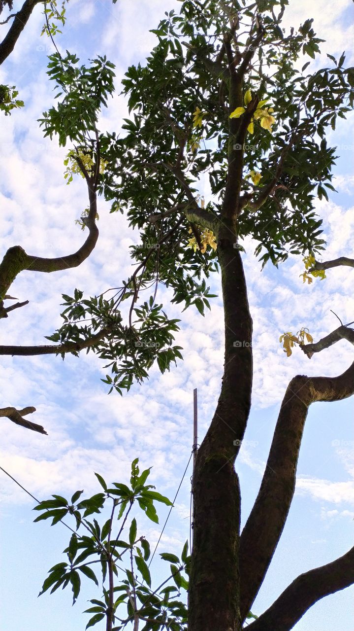 Reaching the sky height