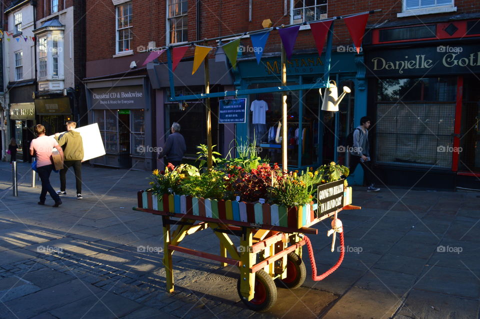 garden in city centre