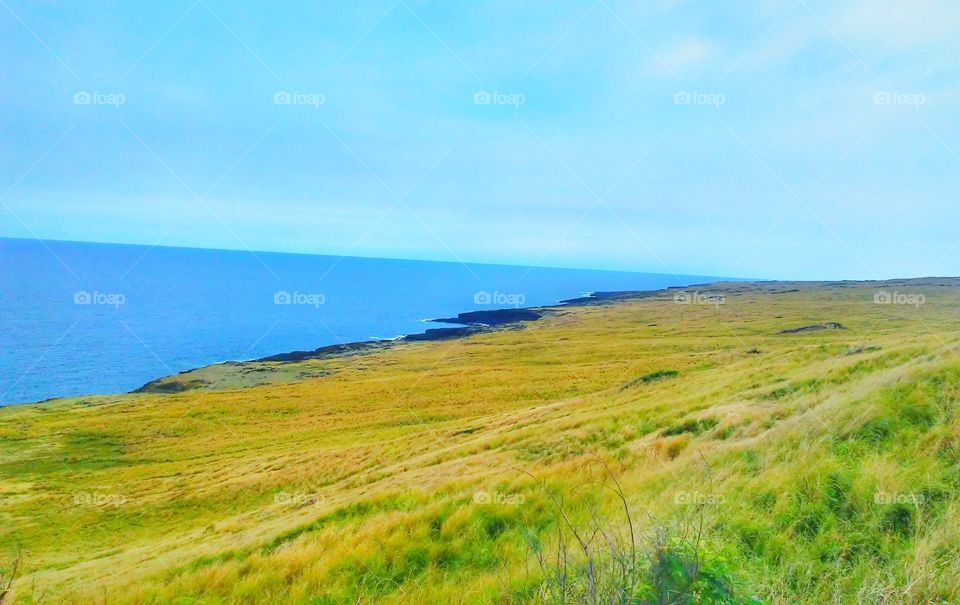 Hawai'i grassy coast