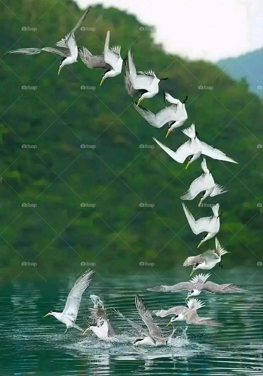 Glory be to God, the magnificent and picturesque view and the natural green trees are a view that is nothing more wonderful than it