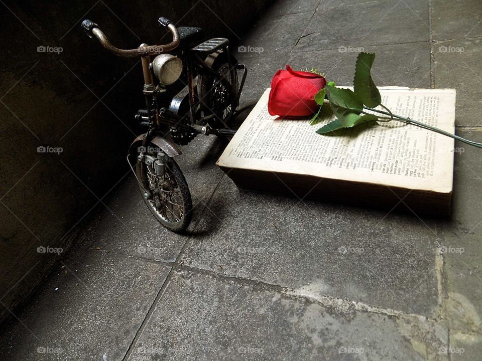 The meaning of love in a book