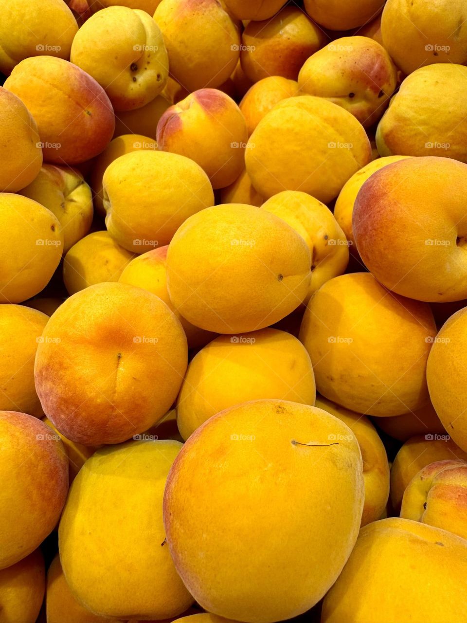 The photograph shows bright orange apricots with velvety skin.