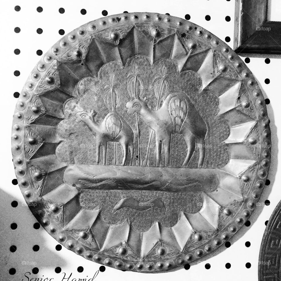 Camels plate 