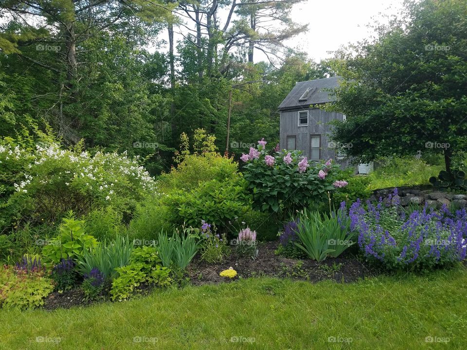 Garden and cottage view