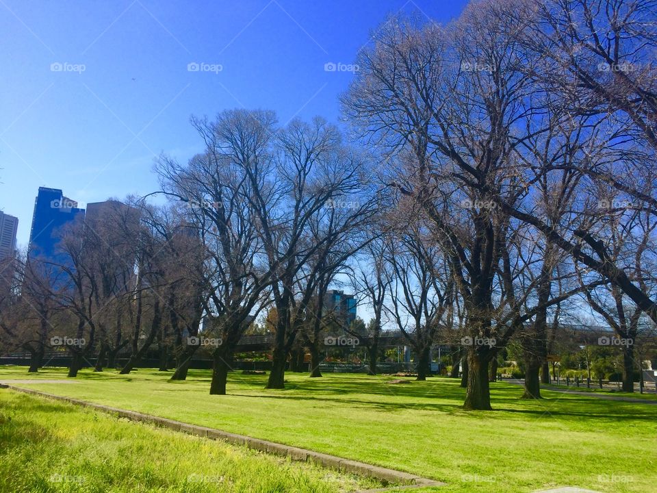 Birrarung Marr Park in Melbourne 