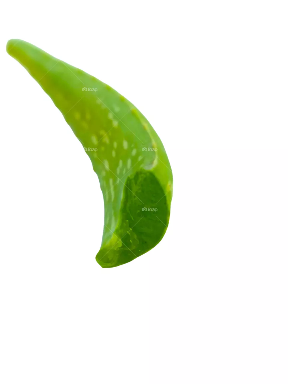 Aloevera