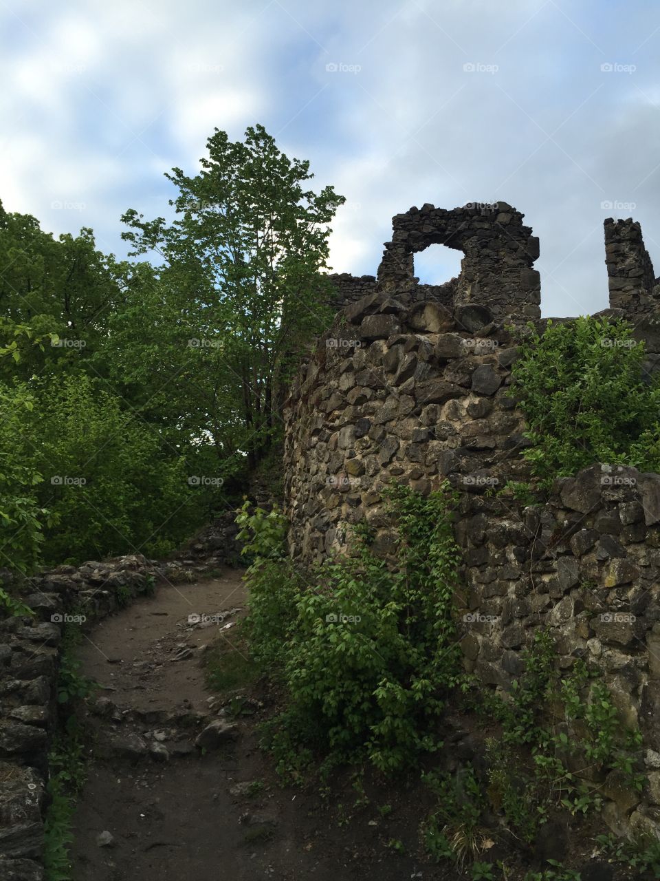 Ruins of Nevytsky Castle begirt with forest