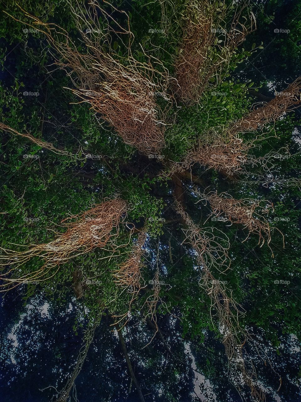 From the bottom to the top