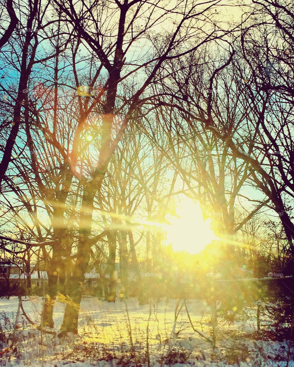 Snow sunshine