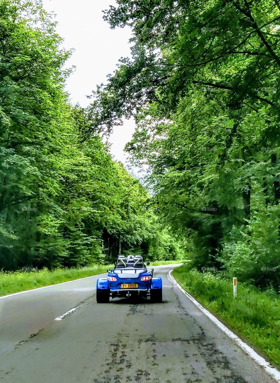 Motor on the road in wood