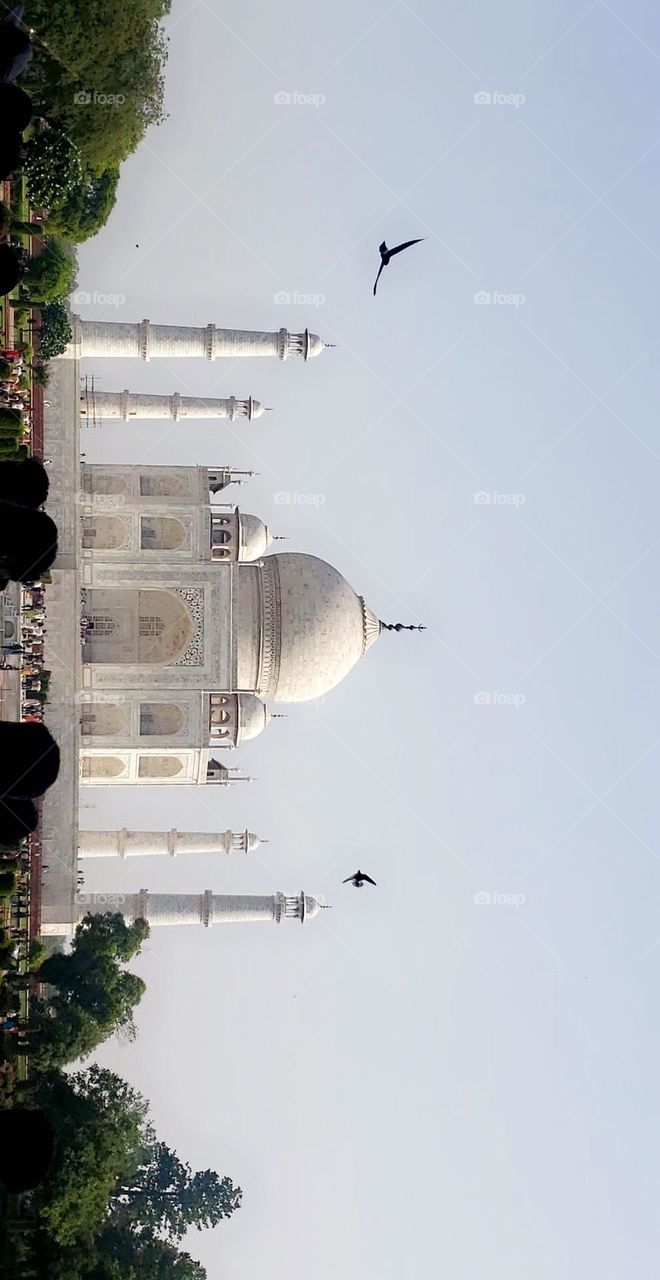 The epitome of love and beauty, the Taj Mahal stands as a timeless symbol of devotion and architectural grandeur