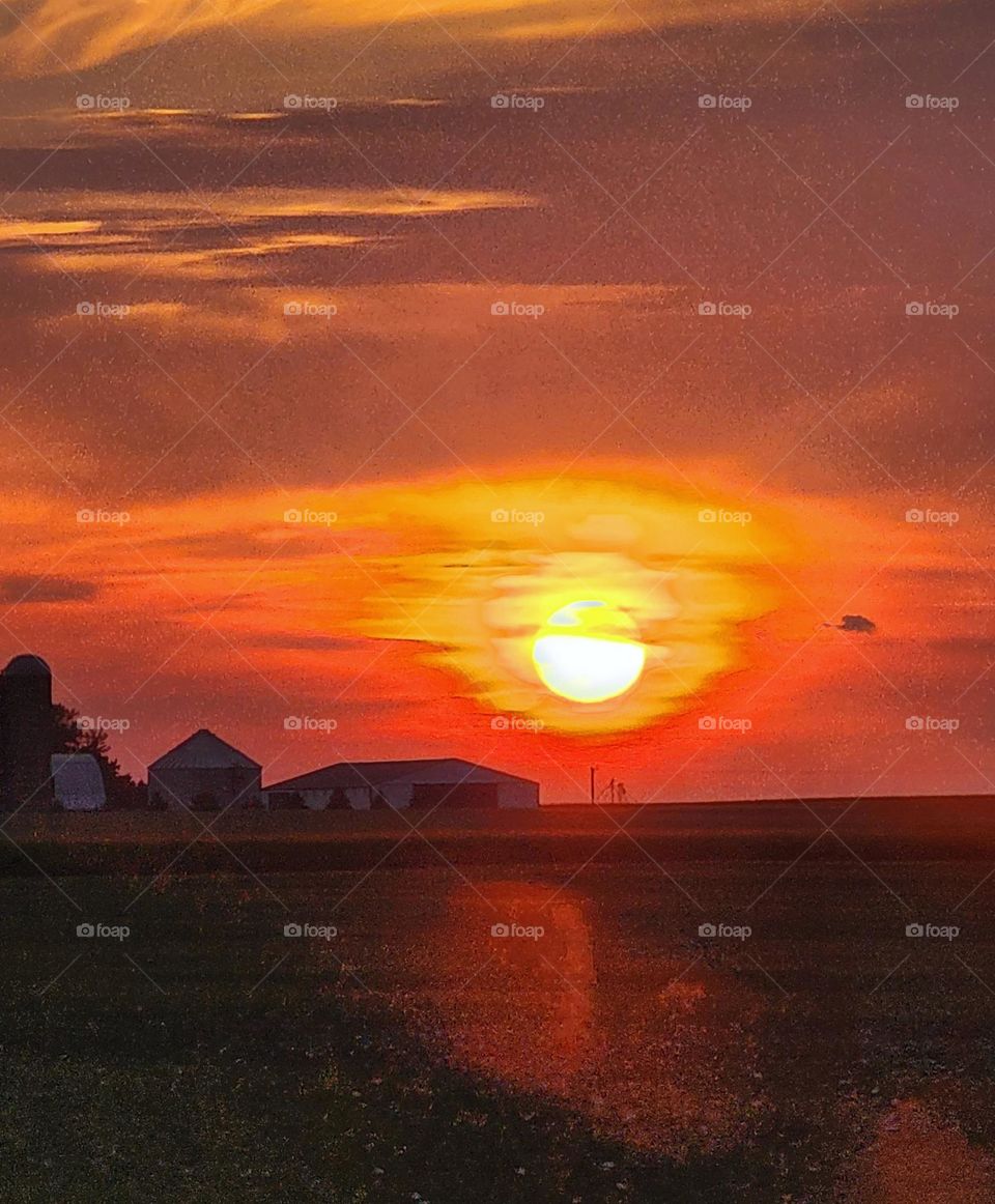 Farmland's Sunset
